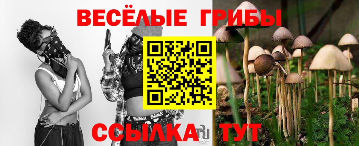 Псилоцибиновые грибы Psilocybe  Вход с VPN  Усть-Джегута 