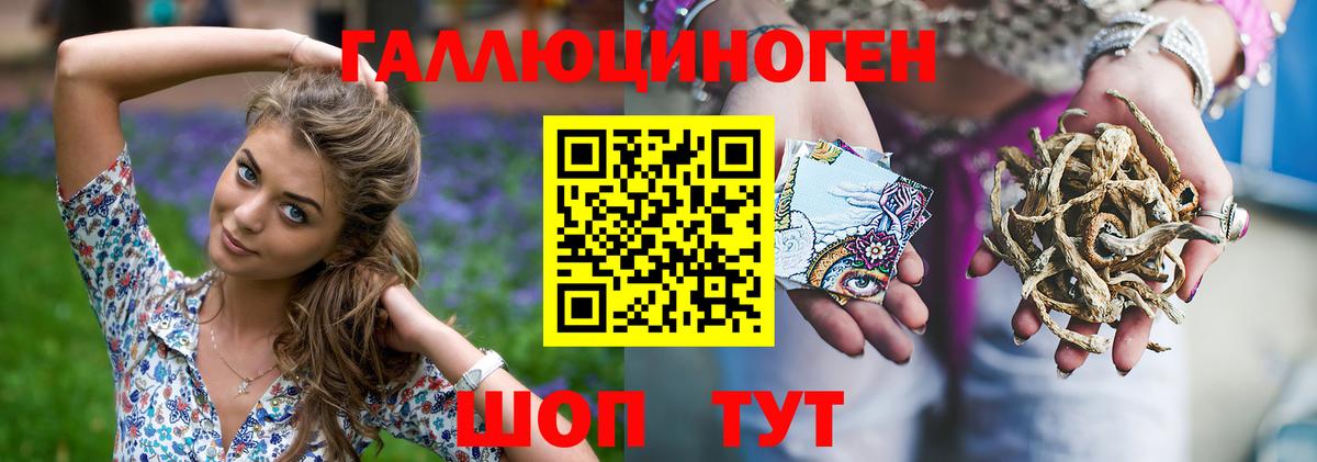 Псилоцибиновые грибы GOLDEN TEACHER Усть-Джегута